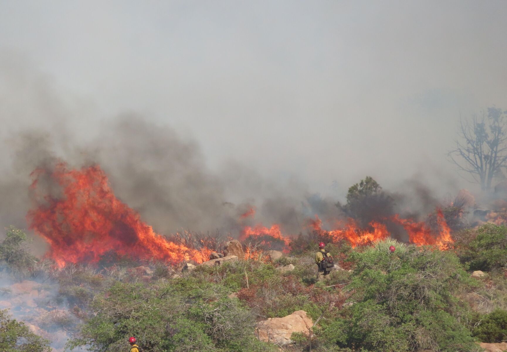 Telegraph Fire, Arizona